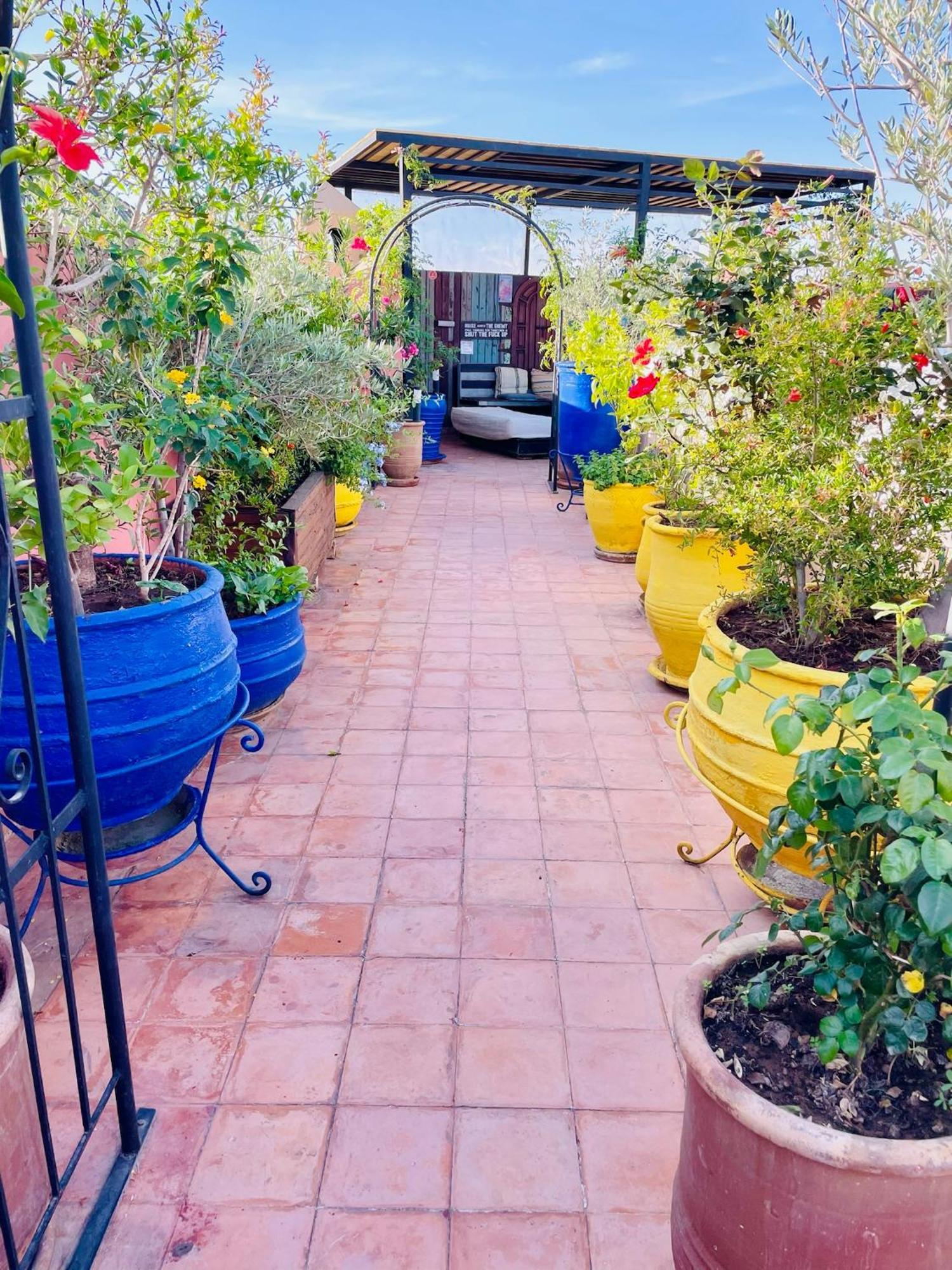 Exclusive And Stylish 4-Bedroom Riad With Plunge Pool マラケシュ エクステリア 写真